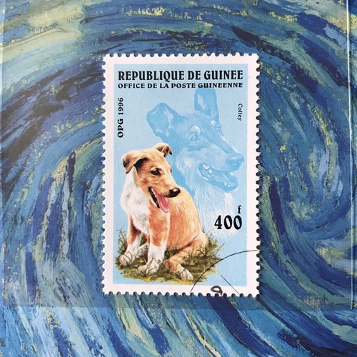 Collie herding dog breed - breed, stamp