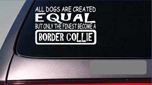 Border collie equal - , sticker
