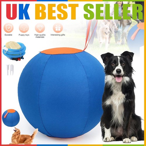 Dog enrichment toy - enrichment,