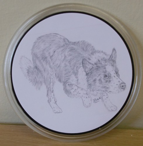 Border collie keyrings - keyrings, &
