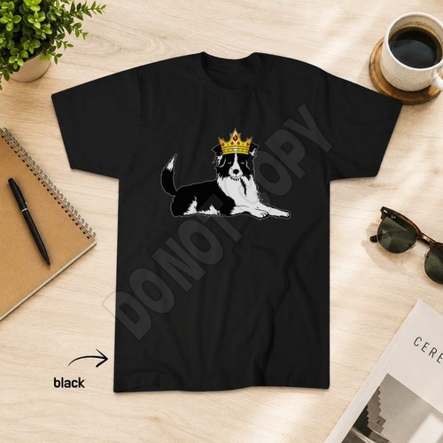 Border collie crown - collie,