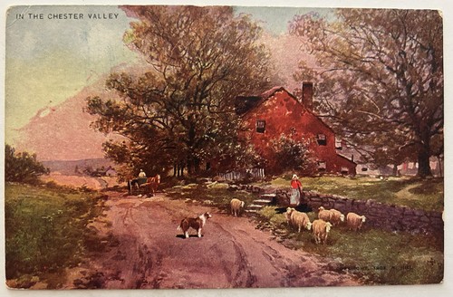 Vintage postcard collie - postcard, dog