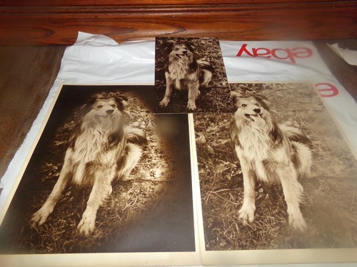 Lot vintage art prints rough - vintage,