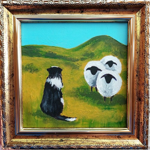 Border collie herding - border,
