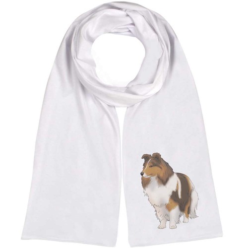Rough collie lightweight - 'rough,