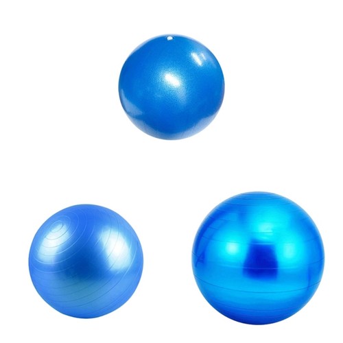 Dog herding ball bladder - herding,