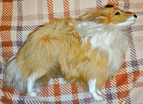 Vintage collie rough - collie,
