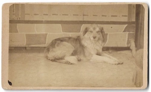 Antique cdv carte visite - cdv, de