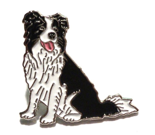 Border collie herding - collie,
