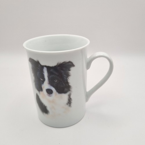 Mug cup border collie dog - collie,