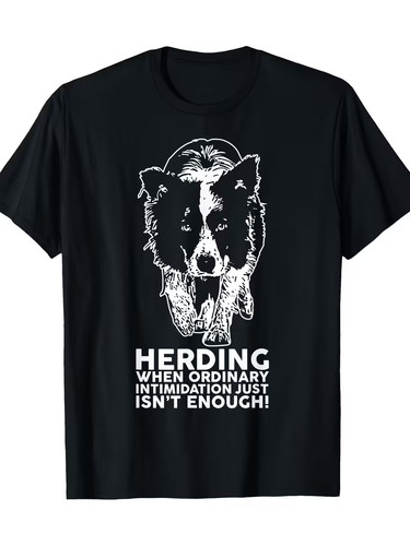 Border collie funny herding - border,