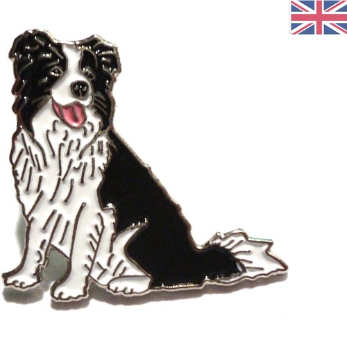 Detailed border collie - detailed, herding