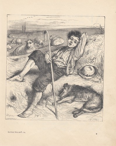 Collie dog sheep shepherd - collie,