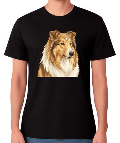 Rough collie dog portrait - rough,