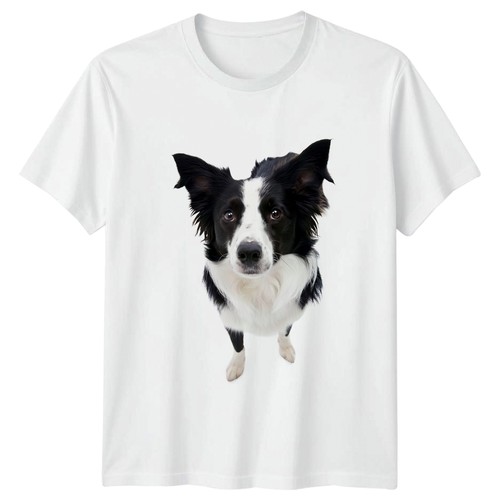 Border collie dog lover - border,