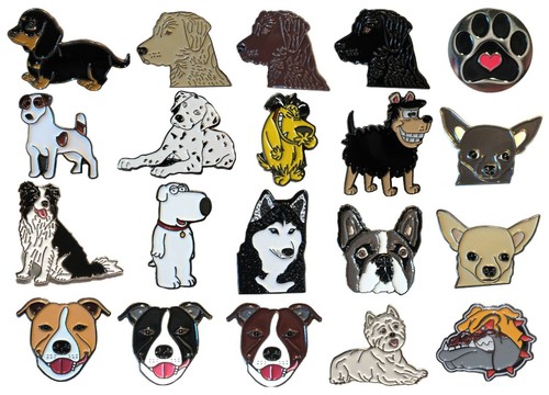 Dachshund jack russell french - jack,