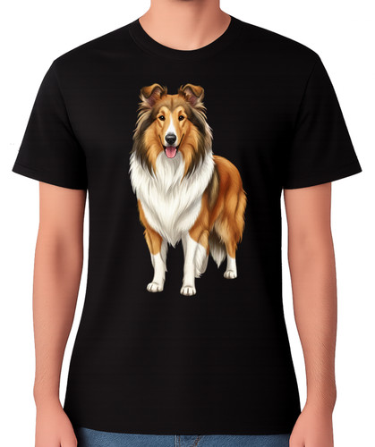 Rough collie dog standing - dog,
