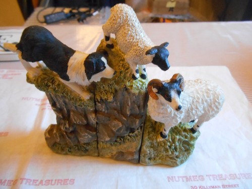 Border collie dog herding - dog,