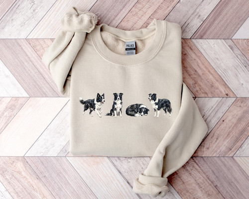 Border collie cute - collie,