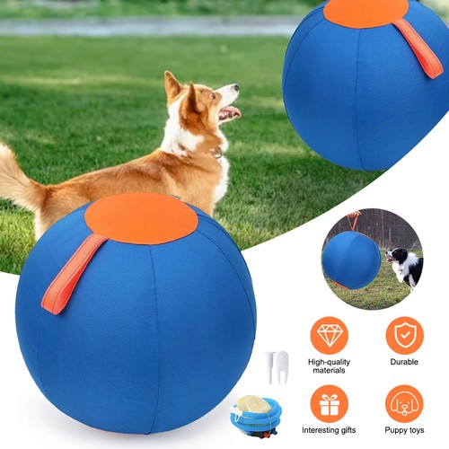 Dog enrichment toy - dog,