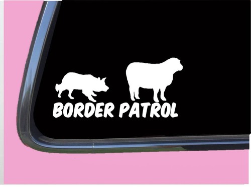 Border patrol 582 vinyl - patrol, 8"