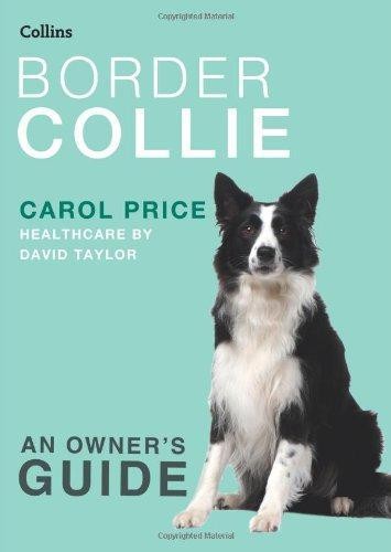 Border collie comprehensive - border, a