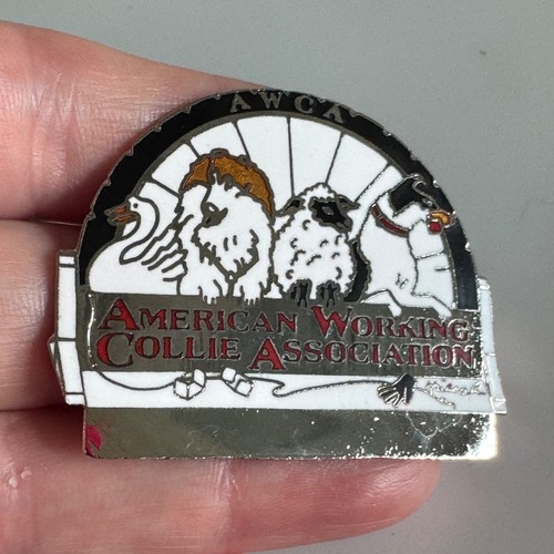 American working collie - american,