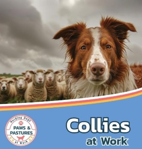 Sabrina lakes collies work - lakes,